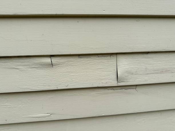 Siding Removal and Disposal in Eloy, AZ